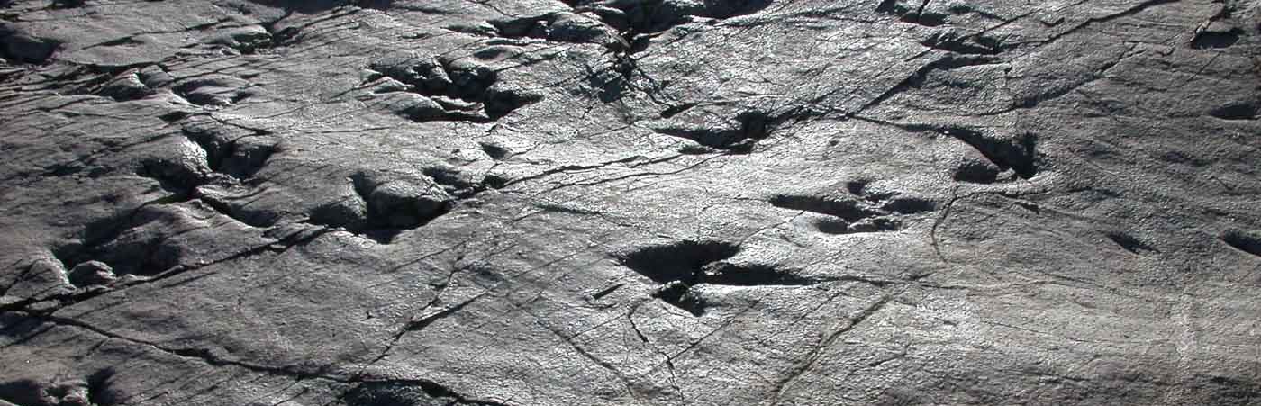 Icnitas o huellas fósiles de dinosaurio sobre un yacimiento