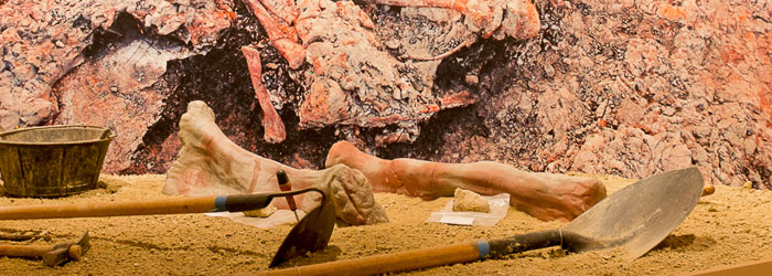 Tematización de una excavación paleontológica realizada para el Centro De Interpretación de Fuentes (Cuenca)