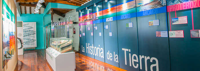 Museo paleontológico