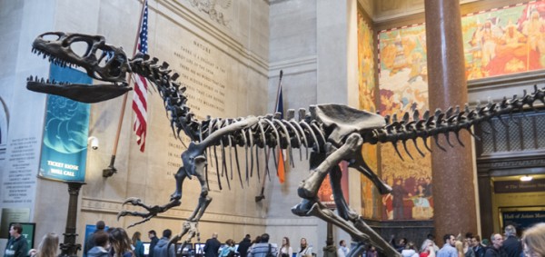 Los 10 museos paleontológicos más importantes del mundo