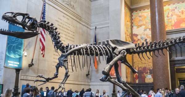 Los 10 museos paleontológicos más importantes del mundo