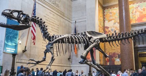 Los 10 museos paleontológicos más importantes del mundo Los 10 museos paleontológicos más importantes del mundo