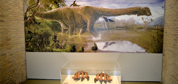 Museo de Ciencias Naturales de Zaragoza