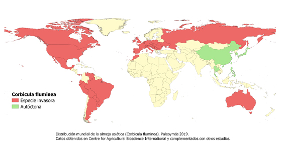 Distribución mundial de la almeja asiática. Paleoymás 2019. Datos obtenidos en CABI y complementados con otros estudios.