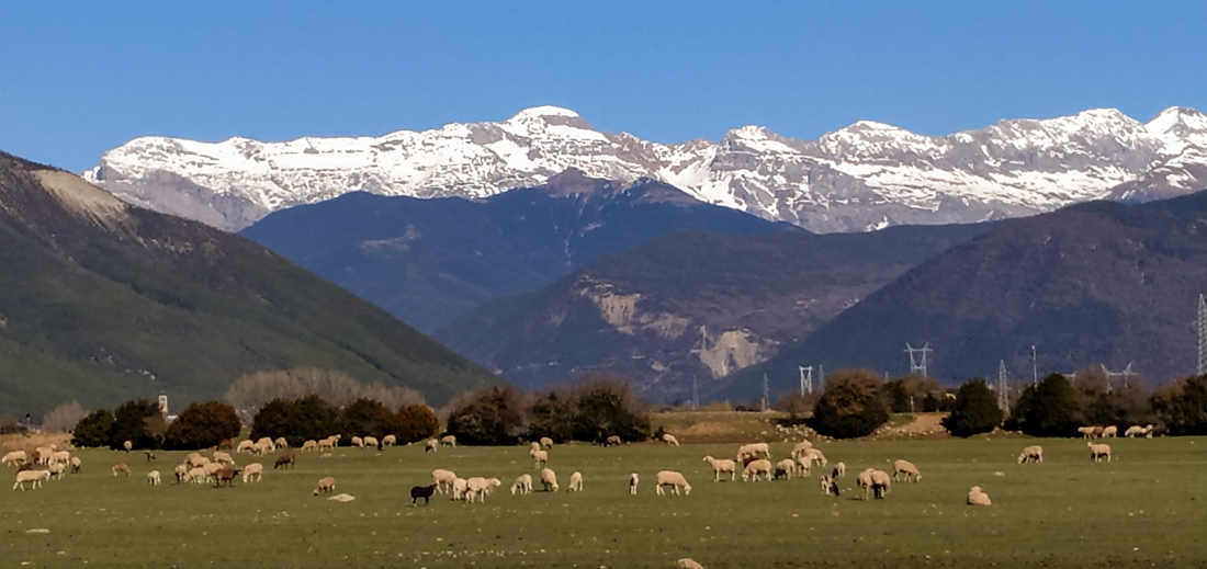 Vista de la cordillera de los Pirineos desde Sabiñánigo