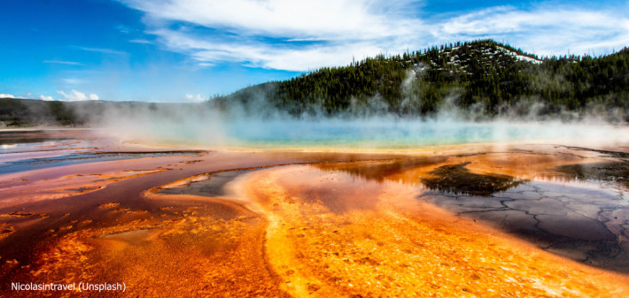 YELLOWSTONE