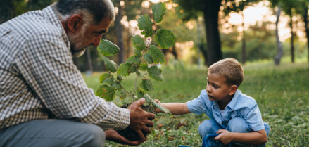 grandfather and grandson enjoying time in public park, planting a plant