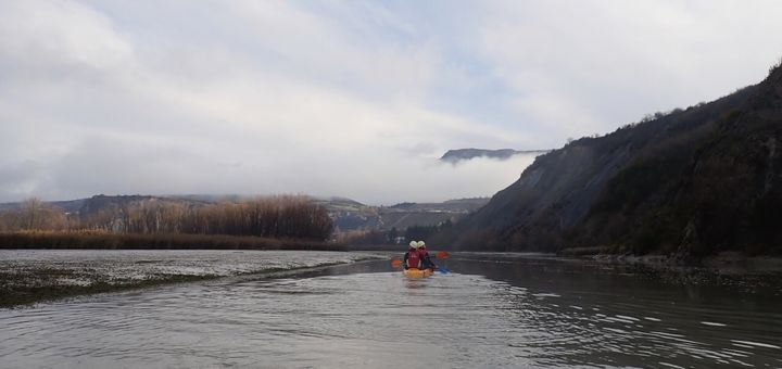 Rescate piscícola en el embalse de Sabiñánigo (1)