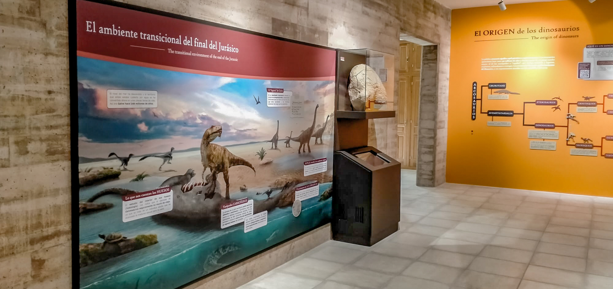 Sala de Galvesaurus herreroi. Museo Paleontológico de Galve.