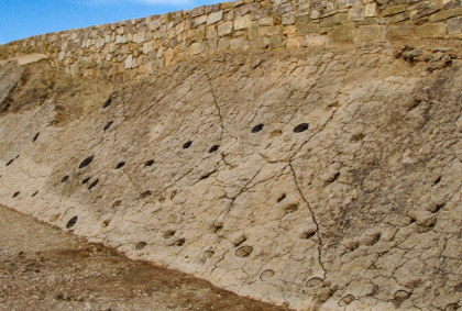 Yacimiento La Fondota de Abiego (Huesca)