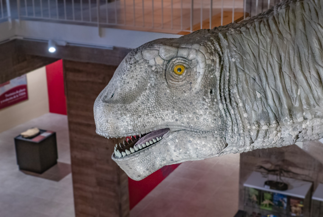 Museo Paleontológico de Galve