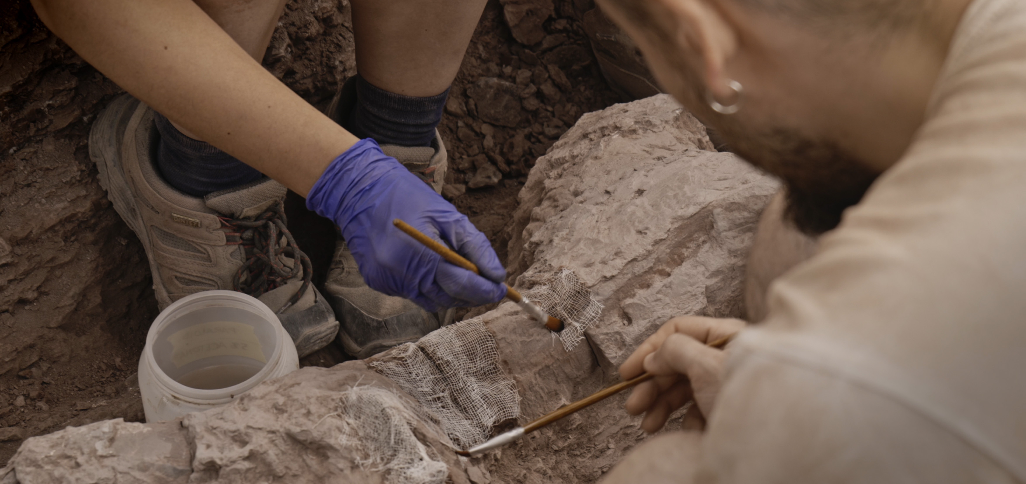 Audiovisual sobre los yacimientos paleontológicos de La Rioja