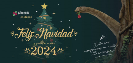 navidad 2023_noticia