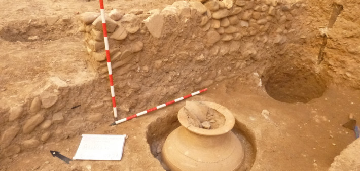 Excavación arqueológica